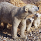 ABD0048-20110323.jpg