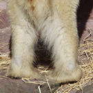 DAB2185-20110323.jpg