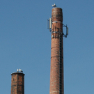 4 Stoerche Hoerbranz 01_jpg-1300978619