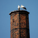 4 Stoerche Hoerbranz 03 niedriger Schornstein_jpg-1300978634