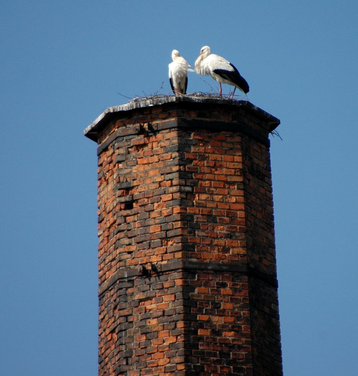 4 Stoerche Hoerbranz 03 niedriger Schornstein_jpg-1300978634