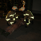DSC06978.JPG