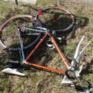 normal_24032011radfahrersaaktivnews011.jpg