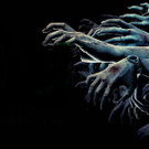 cw-zombies-awakening_the-cw.jpg