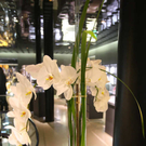 AT__5190.jpg