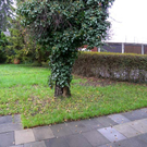 Haus13.jpg