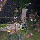 100_4984.JPG