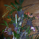 100_4987.JPG