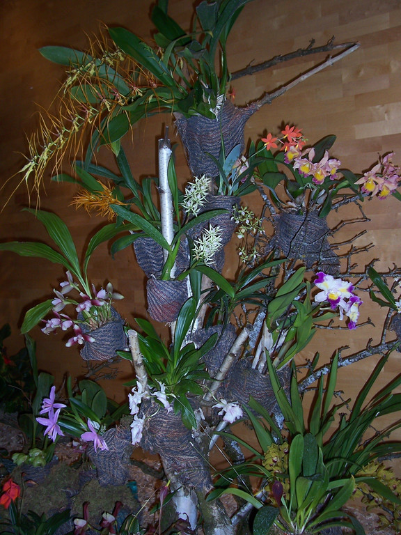 100_4987.JPG