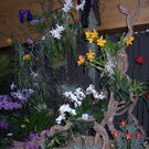 100_4993.JPG