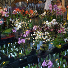 100_4997.JPG