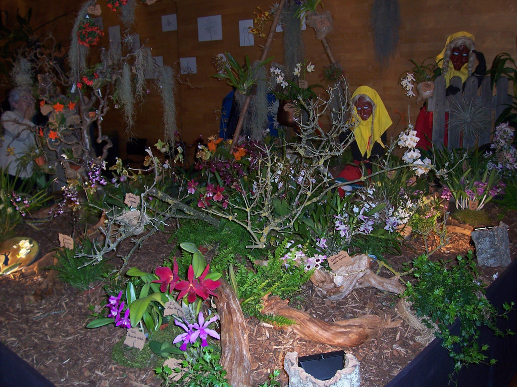 100_5007.JPG
