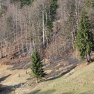 IMG_7415.jpg