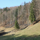 IMG_7407.jpg