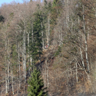 IMG_7406.jpg
