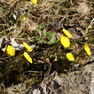 DSC00234_JPG-1301078661
