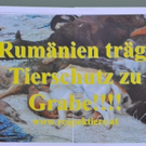 08.jpg