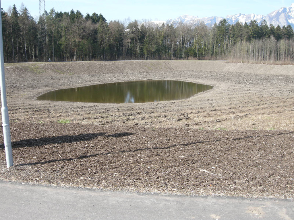 DSCN4360_JPG-1301127082