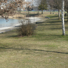 DSCN4365_JPG-1301127148