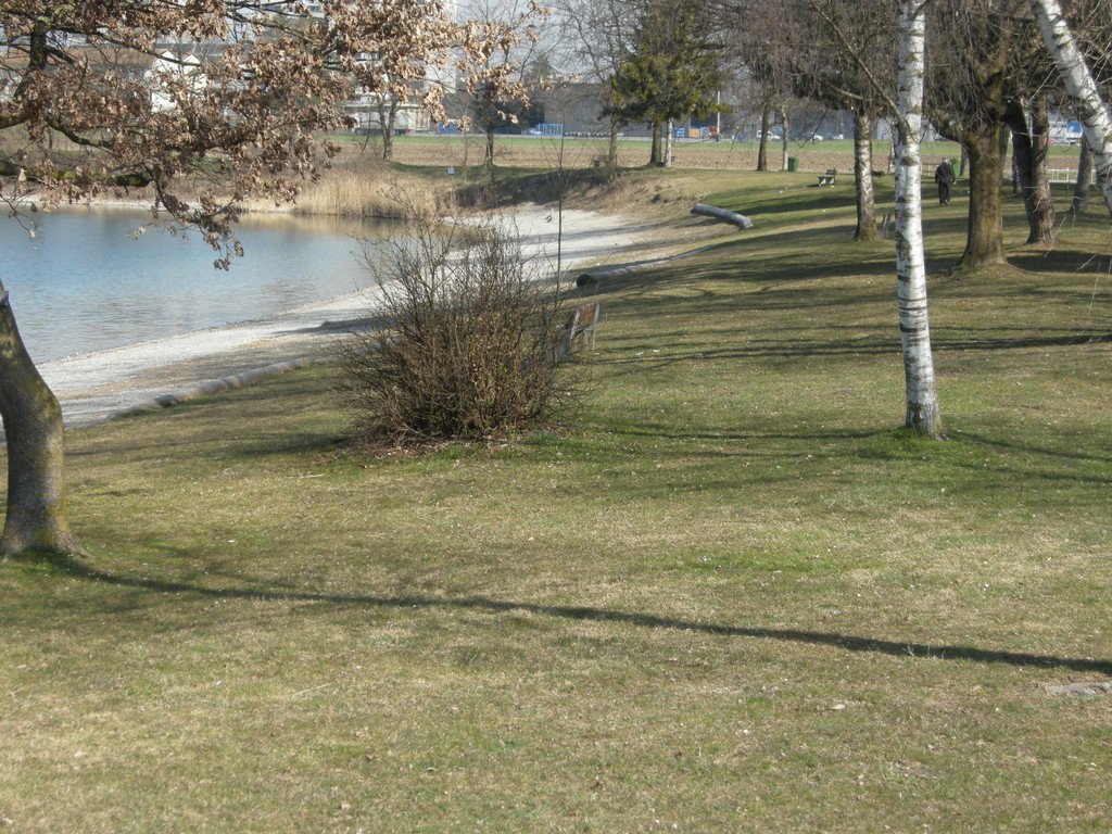 DSCN4365_JPG-1301127148