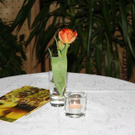 IMG_0799_jpg-1301131014