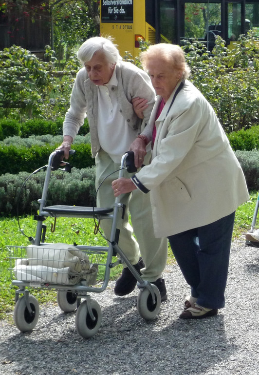 P1050578-2_jpg-1301151677