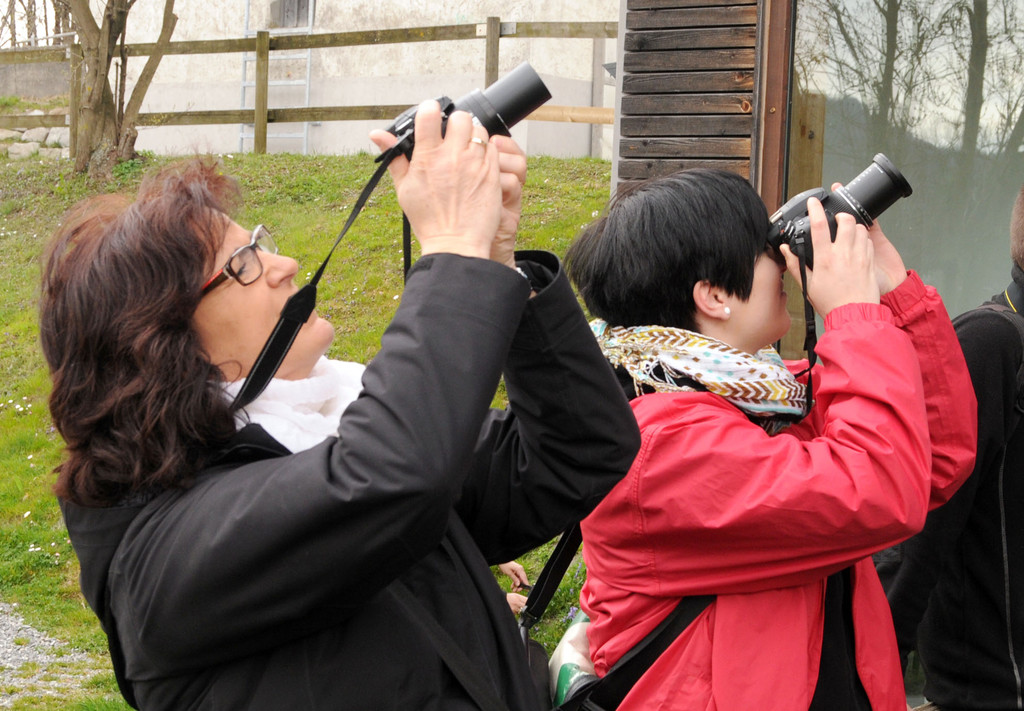 Fotokurs H__chst 26_03_2011 47_jpg-1301172780