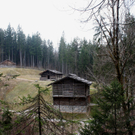26032011freilichtlcaktivnews_13.jpg