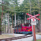 26032011freilichtlcaktivnews_08.jpg