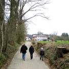 IMG_6783 _Large__JPG-1301214922