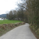 IMG_6746 _Large__JPG-1301214948