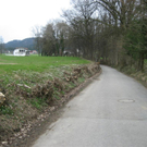 IMG_6747 _Large__JPG-1301214951