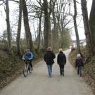 IMG_6781 _Large__JPG-1301214985