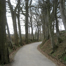 IMG_6761 _Large__JPG-1301214970