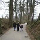 IMG_6780 _Large__JPG-1301214982