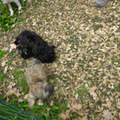 IMGP1208klein.jpg