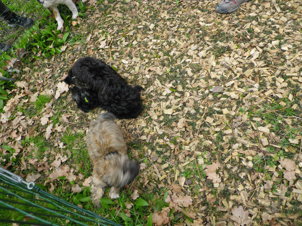 IMGP1208klein.jpg