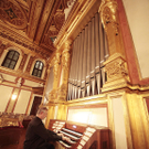 orgel-007.jpg