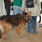 kuenz13_jpg-1301237863