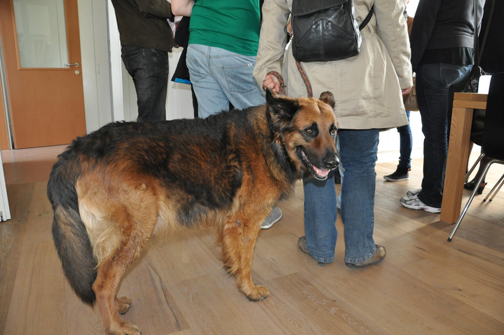 kuenz13_jpg-1301237863