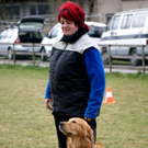 DSC04402_JPG-1301243023