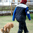 DSC04407_JPG-1301243053