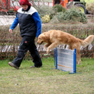DSC04408_JPG-1301243060