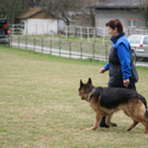 DSC04415_JPG-1301243077