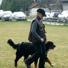 DSC04419_JPG-1301243094