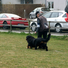 DSC04420_JPG-1301243102