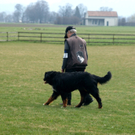 DSC04421_JPG-1301243107
