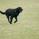 DSC04424_JPG-1301243126