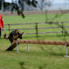 DSC04427_JPG-1301243138