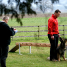 DSC04428_JPG-1301243144